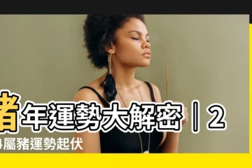 【屬豬2024運勢】豬年運勢大解密｜2024屬豬運勢起伏多變，快來化解！