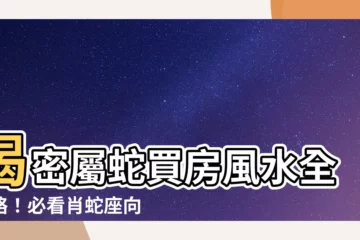 【屬蛇買房座向】揭密屬蛇買房風水全攻略！必看肖蛇座向，輕鬆選好宅！