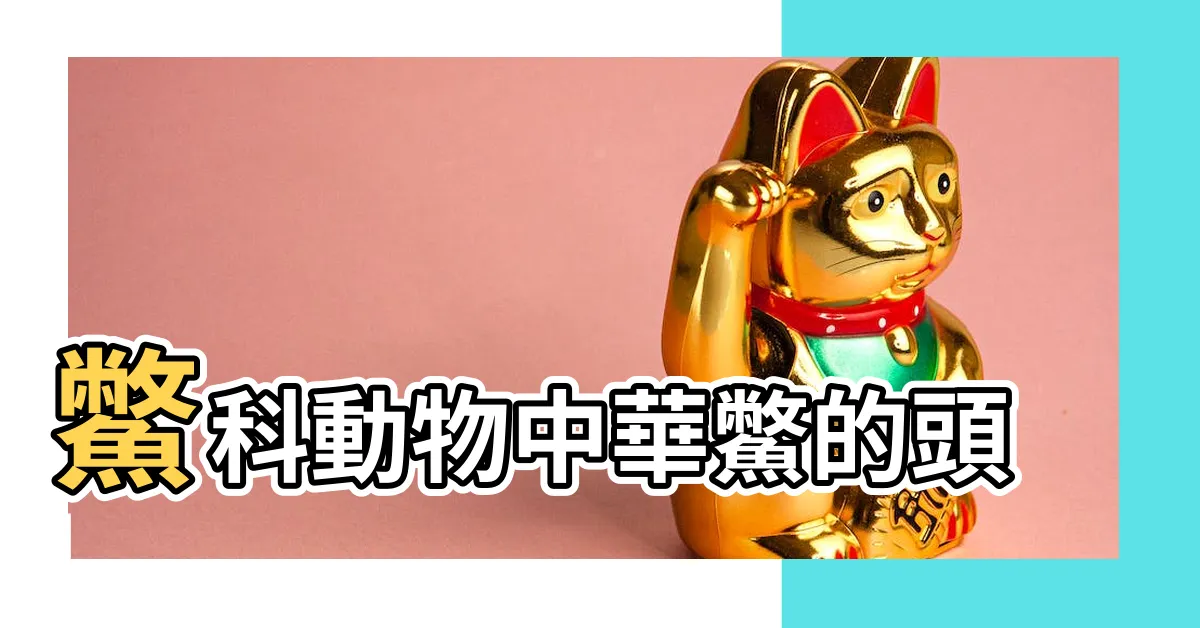 【鱉頭】鱉科動物中華鱉的頭 |