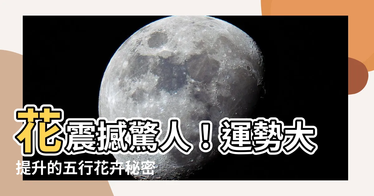 【花 五行】花震撼驚人！運勢大提升的五行花卉秘密，切忌錯過！