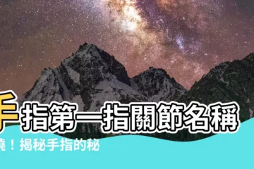 【第一指】手指第一指關節名稱揭曉！揭秘手指的秘密！