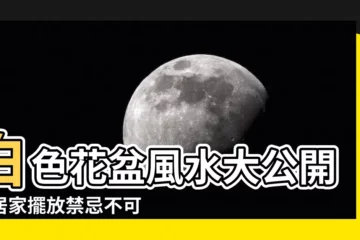 【白色花盆風水】白色花盆風水大公開！居家擺放禁忌不可不知