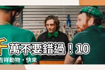 【吉祥的動物】千萬不要錯過！10 大吉祥動物，快來看有好運！