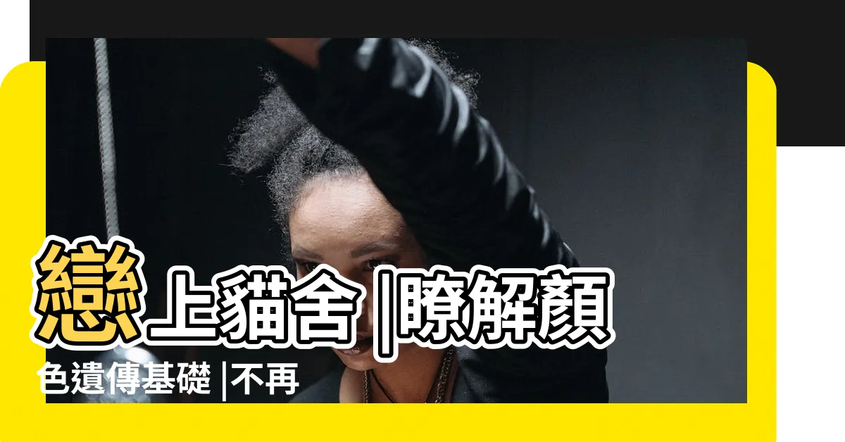【貓交配顏色】戀上貓舍 |瞭解顏色遺傳基礎 |不再以為你家的貓咪喜當爹了 |