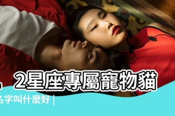 【獅子座貓咪名字】12星座專屬寵物貓的名字叫什麼好 |你知道貓貓代表的12星座是什麼嗎 |12星座專屬寵物名字 |