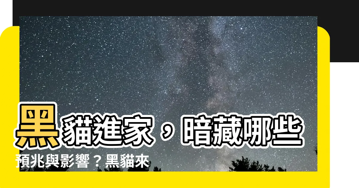 【黑貓來家裡代表什麼】黑貓進家，暗藏哪些預兆與影響？黑貓來家裡代表什麼？