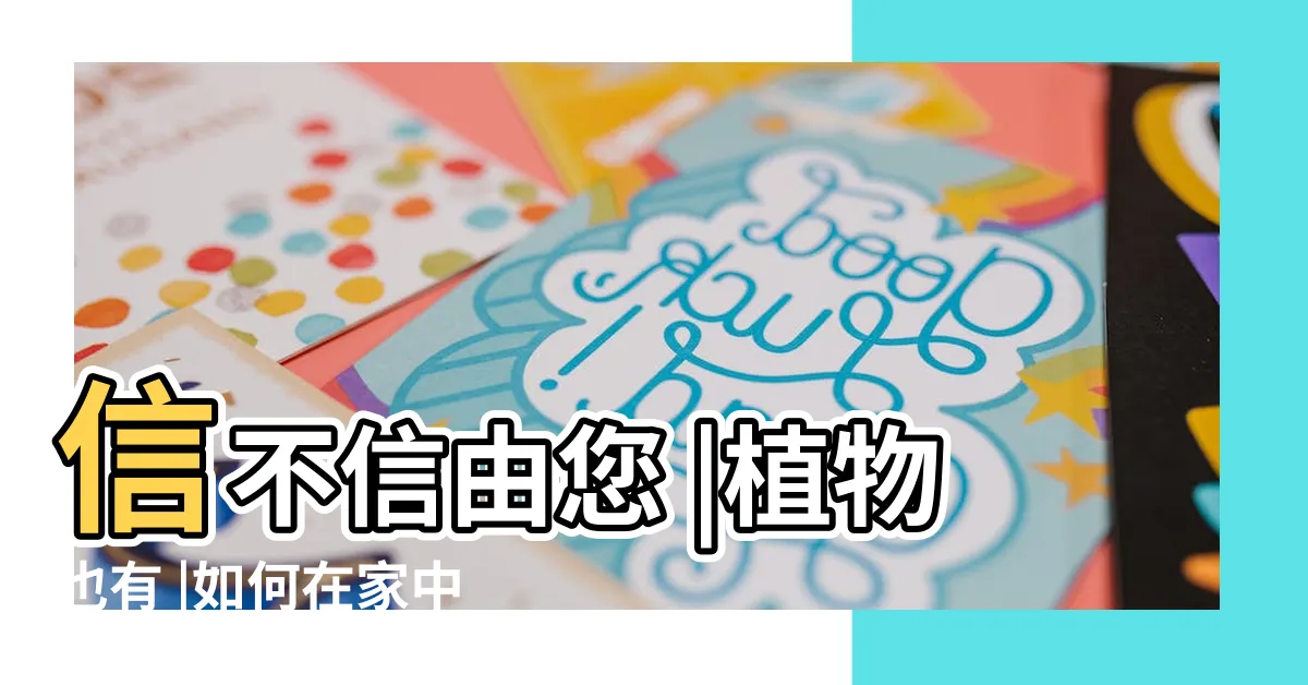 【羅漢松風水】信不信由您 |植物也有 |如何在家中利用羅漢松擺設佈置風水 |