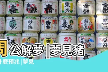 【做夢夢見豬牛一起吃食什麼意思】周公解夢 |夢見豬有什麼預兆 |夢見牛是什麼意思 |