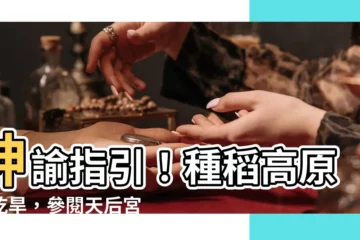 【種稻高原逢旱歲】神諭指引！種稻高原遇乾旱，參閲天后宮籤詩解籤