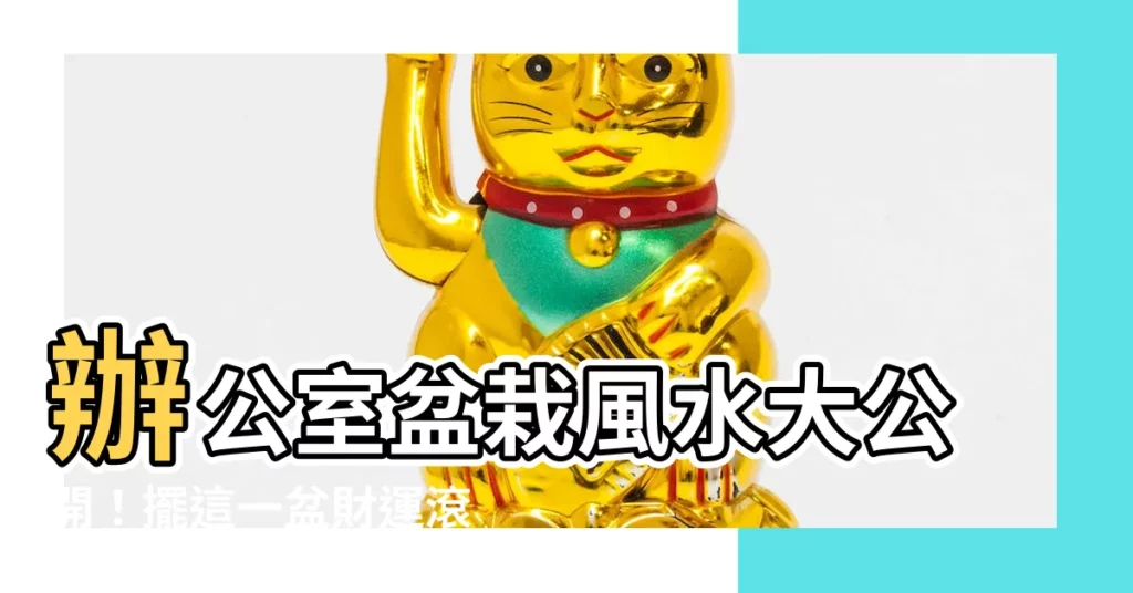【辦公桌盆栽風水】辦公室盆栽風水大公開！擺這一盆財運滾滾來，小人退散