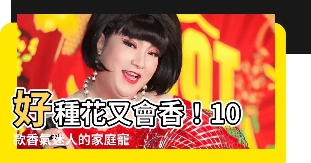 【好種會香的花】好種花又會香！10款香氣迷人的家庭寵物脱穎而出