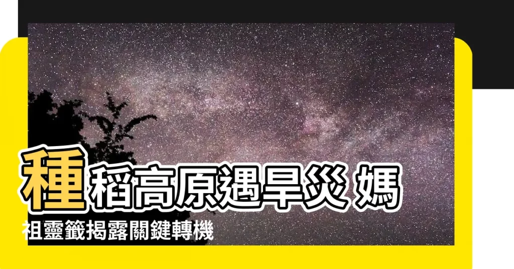 【種稻高原逢旱歲】種稻高原遇旱災 媽祖靈籤揭露關鍵轉機