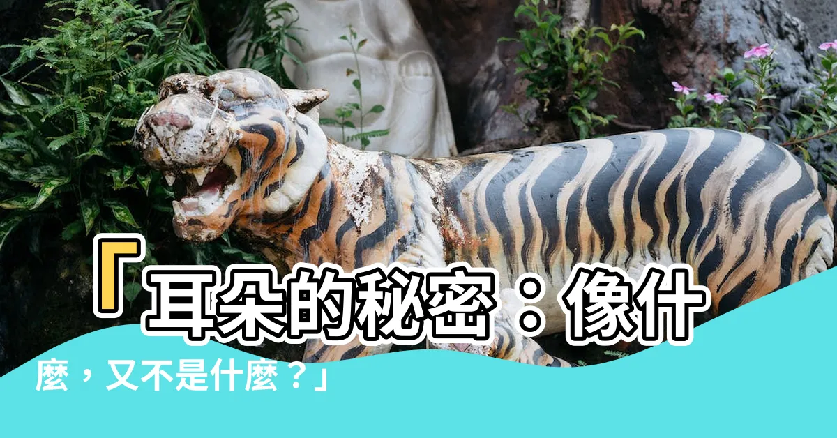 【人的耳朵像什麼】「耳朵的秘密：像什麼，又不是什麼？」