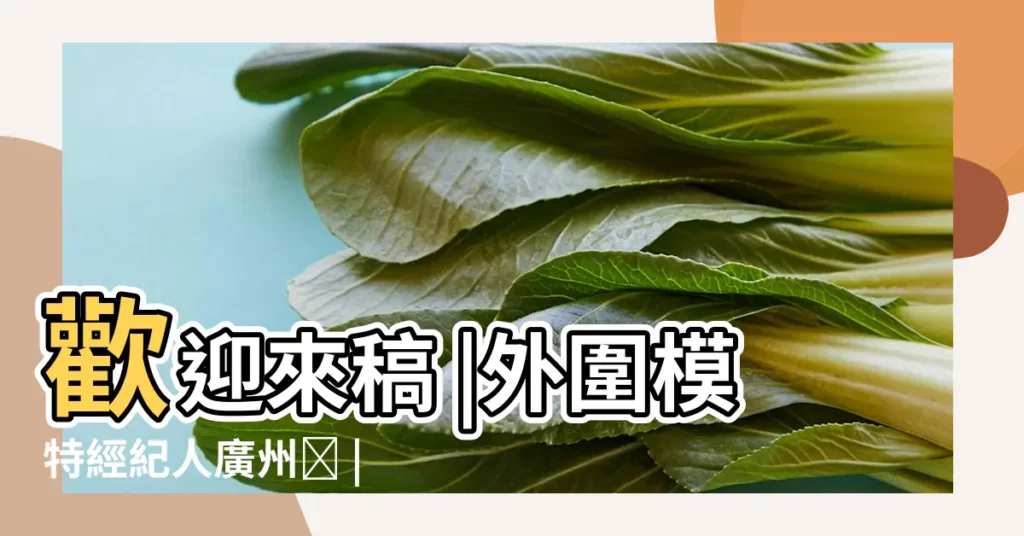 歡迎來稿 |外圍模特經紀人廣州ಥ |【2017春分美術美術圖片】