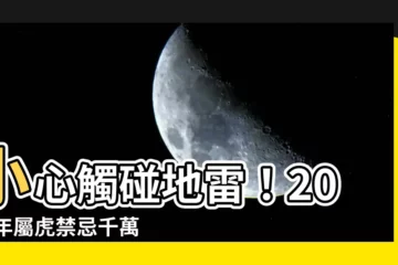 【2023屬虎禁忌】小心觸碰地雷！2023年屬虎禁忌千萬別犯