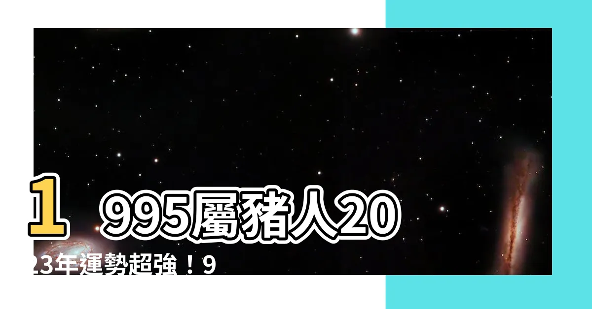 【1995 屬】1995屬豬人2023年運勢超強！95年生肖豬今年幸運爆棚！