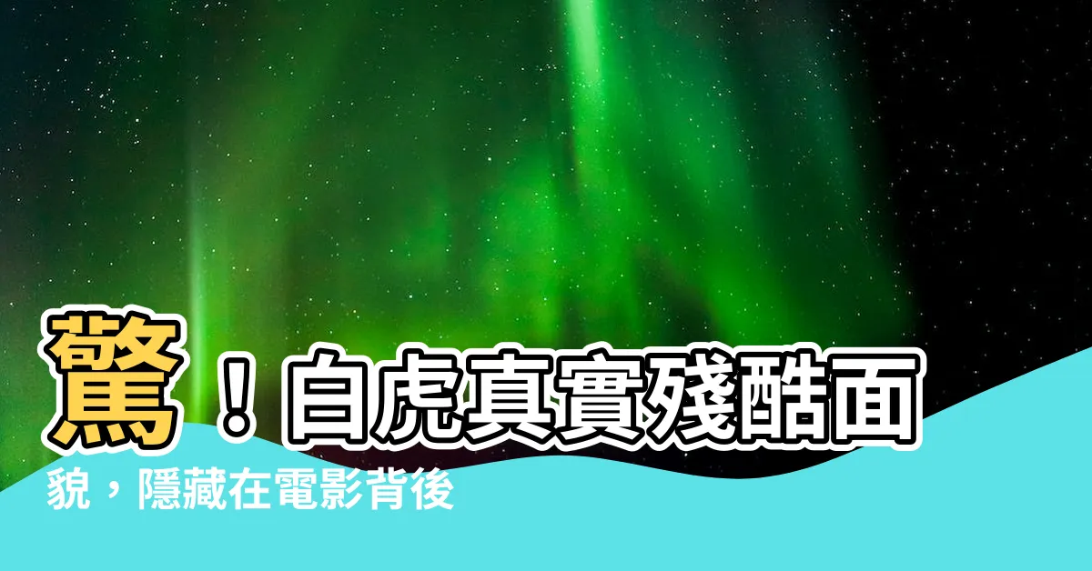 【白虎 電影】驚！白虎真實殘酷面貌，隱藏在電影背後
