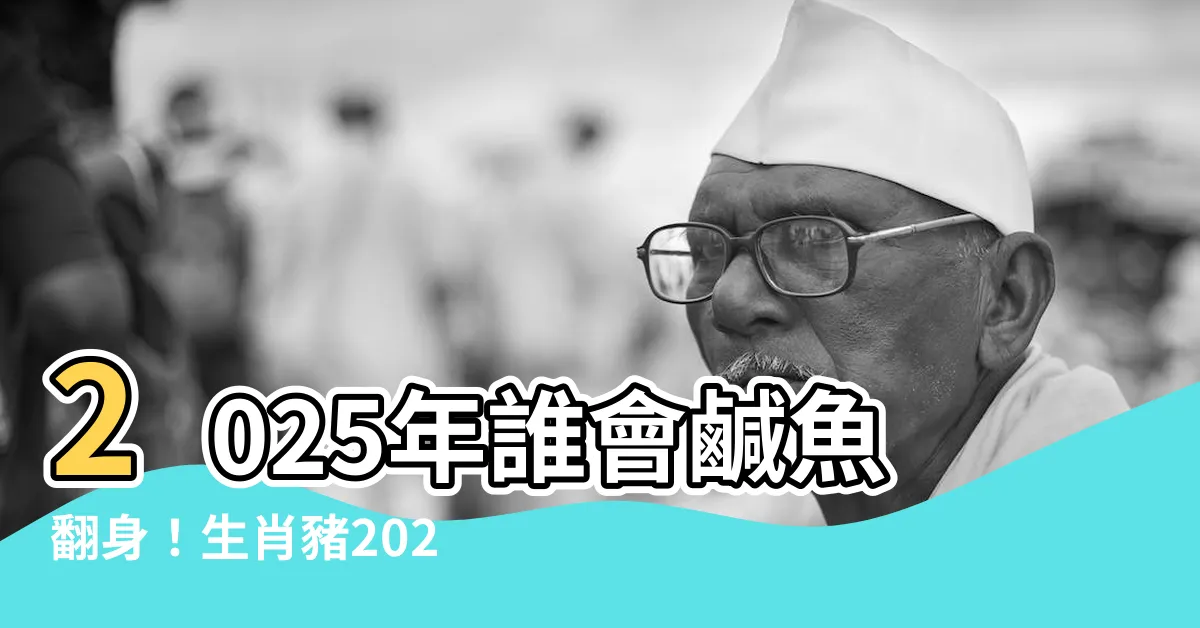 【2025年運勢】2025年誰會鹹魚翻身！生肖豬2025運勢大公開