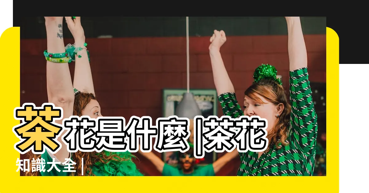【茶花】茶花是什麼 |茶花知識大全 |