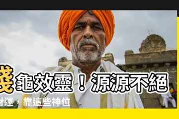 【錢龜擺放位置】錢龜效靈！源源不絕的財運，靠這些神位輕鬆招財