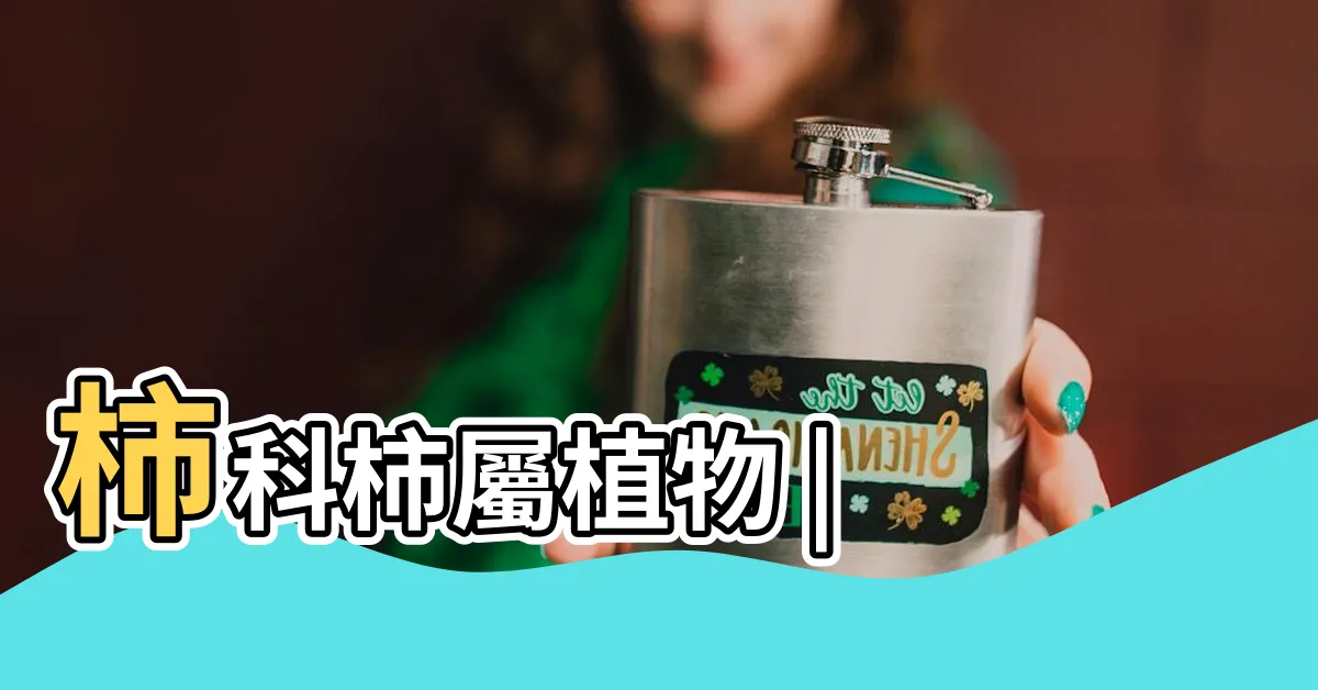 【柿子樹】柿科柿屬植物 |