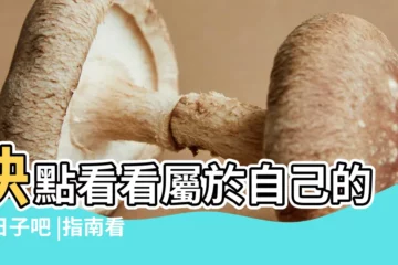 【問2018年十一月十九適宜結婚嗎】快點看看屬於自己的好日子吧 |指南看這篇 |2018 |