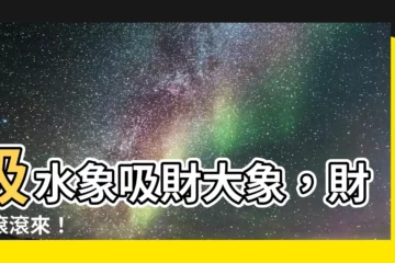 【吸水象】吸水象吸財大象，財運滾滾來！