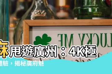 【一條麻甩在廣州】麻甩遊廣州：4K極致體驗，揭秘廣府魅力
