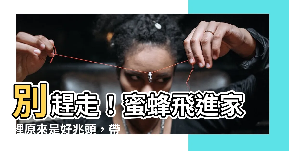 【蜜蜂飛進家裡】別趕走！蜜蜂飛進家裡原來是好兆頭，帶來甜蜜好運！
