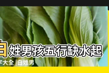 【姓白的男孩名字缺水】白姓男孩五行缺水起名字大全 |白姓男孩五行缺水起名字大全 |姓白的男寶寶名字大全單字水命白姓男孩名字缺水取名 |