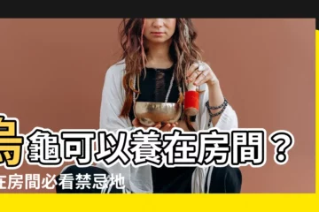 【烏龜可以養在房間嗎】烏龜可以養在房間？養在房間必看禁忌地點！
