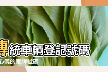 【汽車牌照號碼查詢】傳統車輛登記號碼 |我心儀的車牌號碼是否可供申請 |傳統車輛登記號碼網上服務 |