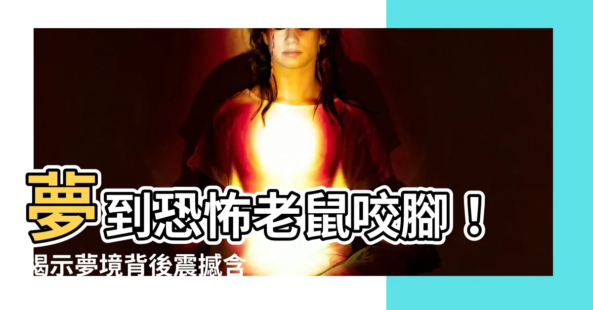 【夢到被老鼠咬腳】夢到恐怖老鼠咬腳！揭示夢境背後震撼含義
