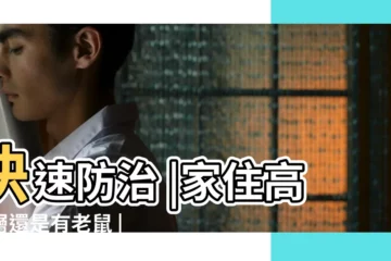 【住在四樓怎麼會有老鼠】快速防治 |家住高樓層還是有老鼠 |快速防治 |