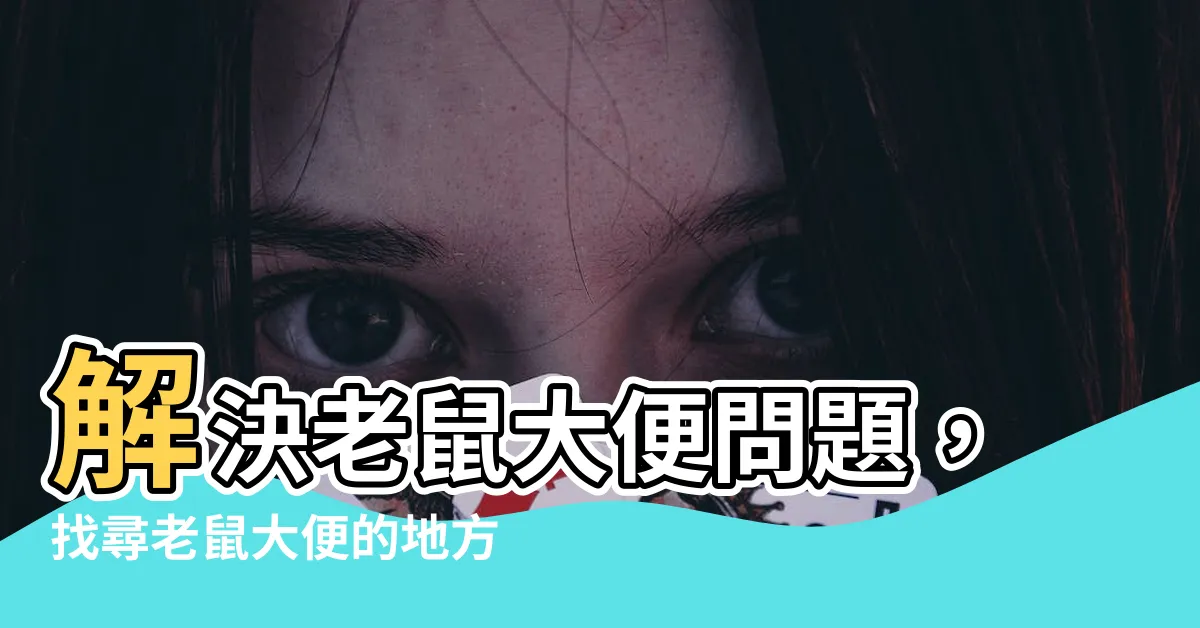 【老鼠大便的地方】解決老鼠大便問題，找尋老鼠大便的地方的秘訣！