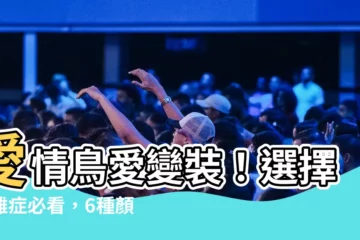 【愛情鳥 顏色】愛情鳥愛變裝！選擇困難症必看，6種顏色品種附上圖片大對決