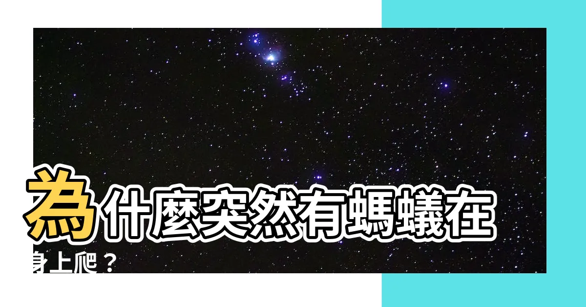 【身上突然有螞蟻】為什麼突然有螞蟻在身上爬？