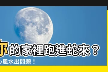 【家裡跑蛇進來】你的家裡跑進蛇來?小心風水出問題!