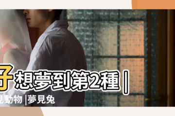 【夢見兔子把褲子咬壞】好想夢到第2種 |夢見動物 |夢見兔子餓了什麼意思 |