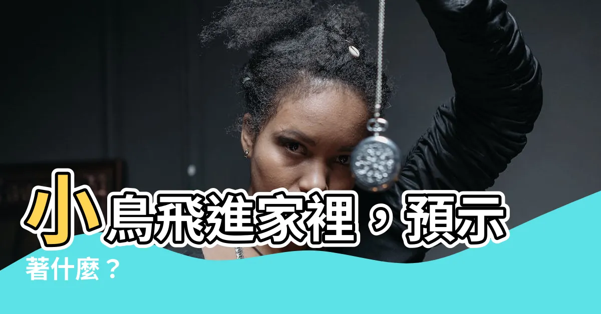【小鳥飛進家裏什麼意思】小鳥飛進家裡，預示著什麼？