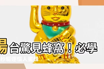 【陽台 蜂窩】陽台驚見蜂窩！必學3招秒驅逐惱人蜜蜂，不再蜂擾你安寧