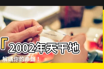【2002年天干地支】「2002年天干地支」解碼你的命盤！揭密你的運勢和個性特質