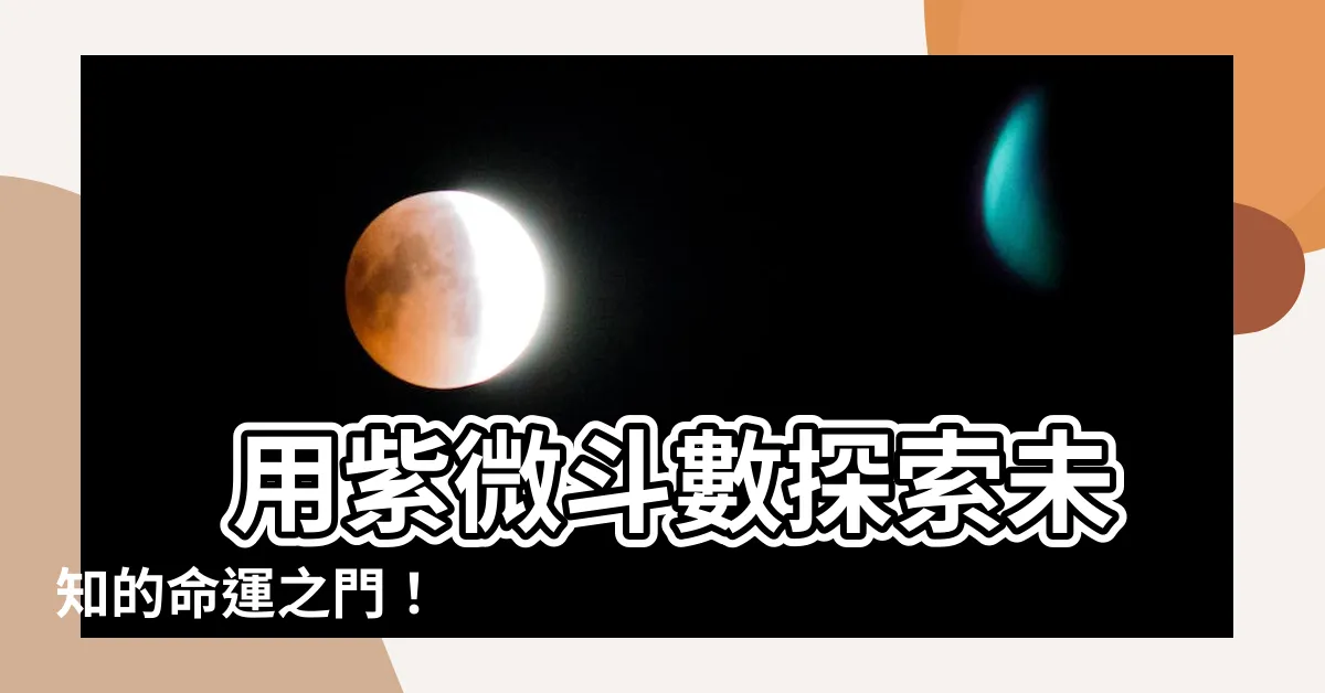【紫微鬥數排盤】 用紫微鬥數探索未知的命運之門！