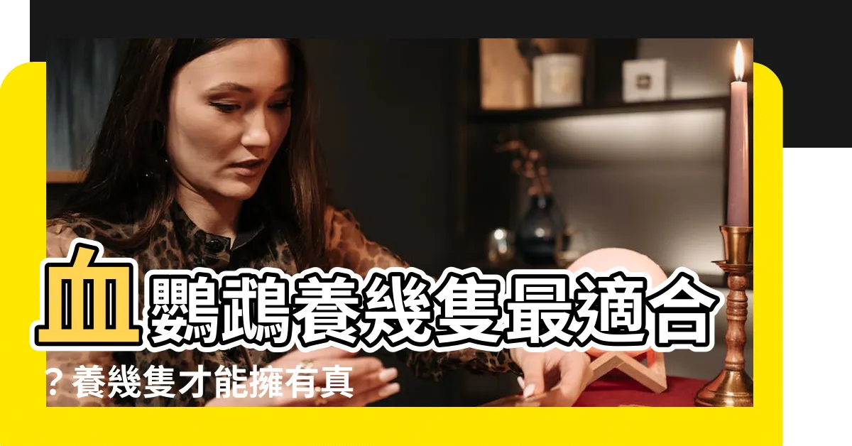 【血鸚鵡要養幾隻】血鸚鵡養幾隻最適合？養幾隻才能擁有真正的血鸚鵡快樂家庭？