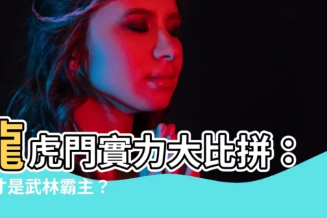 【龍虎門實力排名】龍虎門實力大比拼：誰才是武林霸主？