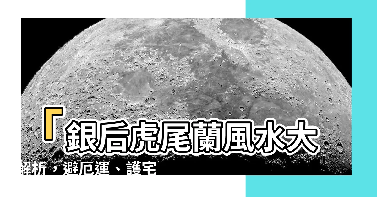 【銀後虎尾蘭風水】「銀後虎尾蘭風水大解析，避厄運、護宅生財的秘訣」