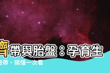 【臍帶 胎盤】臍帶與胎盤：孕育生命紐帶，搞懂一次看透