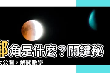 【鄰角是什麼】鄰角是什麼？關鍵秘訣大公開，解開數學角與角關係的謎團