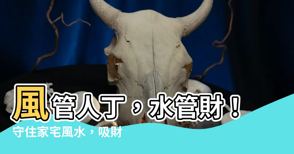 【風管人丁、水管財】風管人丁，水管財！守住家宅風水，吸財旺運全靠它