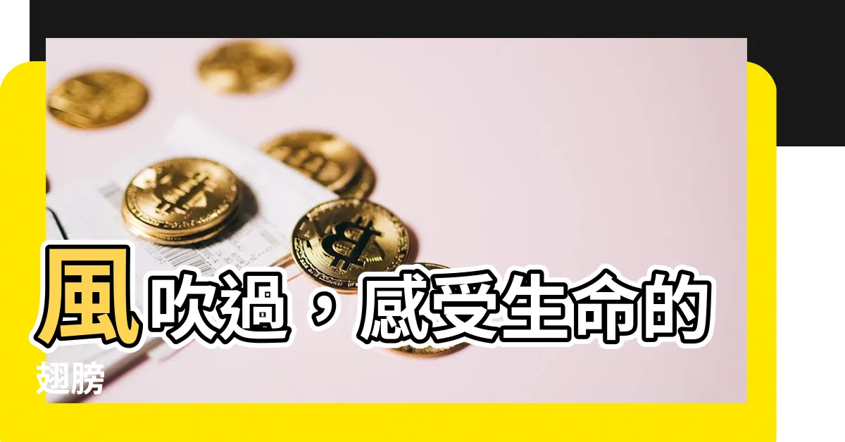 【風吹過】風吹過，感受生命的翅膀